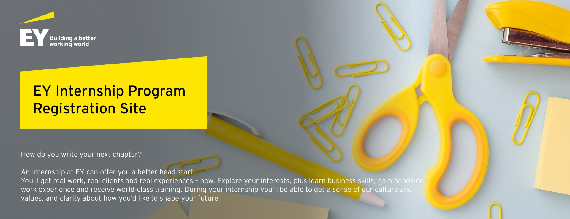 EY Internship Application